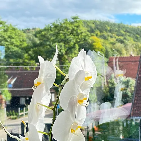 Nature & Balance * غدينيا